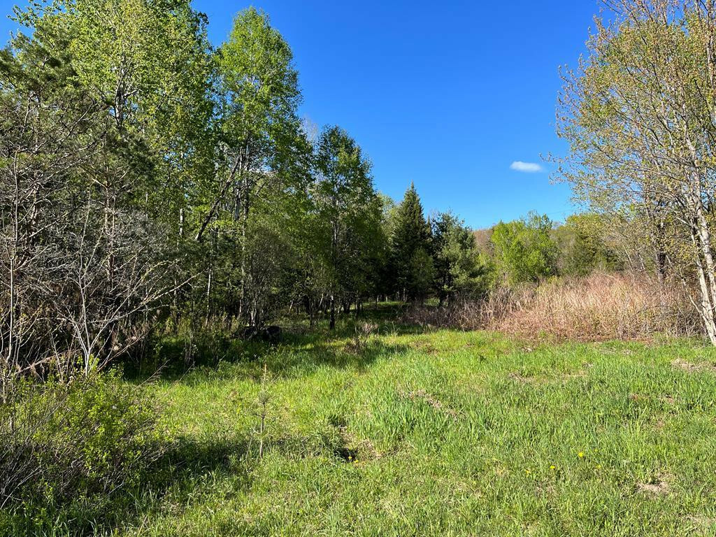Property Photo:  12 Tooley Pond Rd  NY 12927 