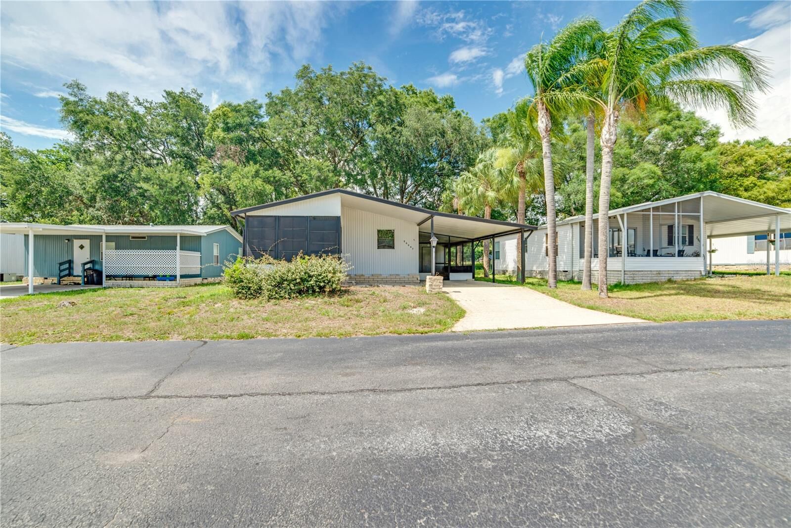 Property Photo:  36047 Aster Avenue  FL 33541 