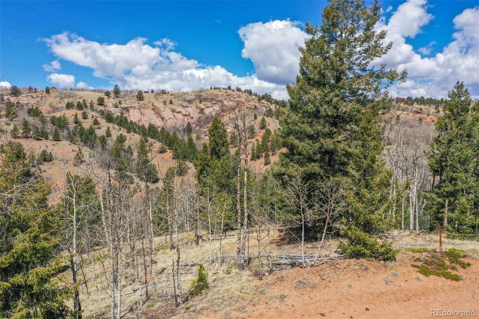 Property Photo:  796 Little Topsey Drive  CO 80813 