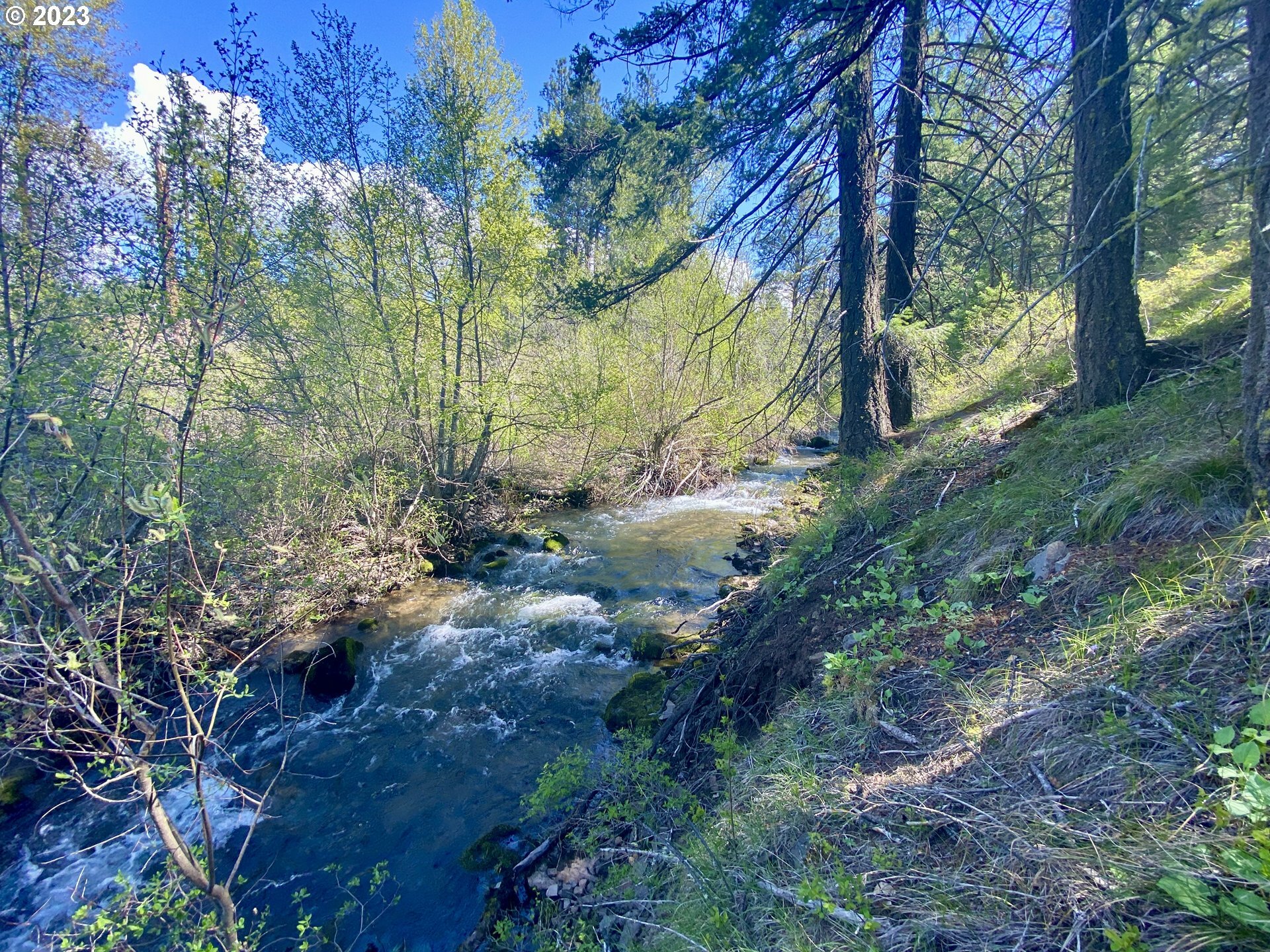 Property Photo:  Three Creeks 3  WA 98620 