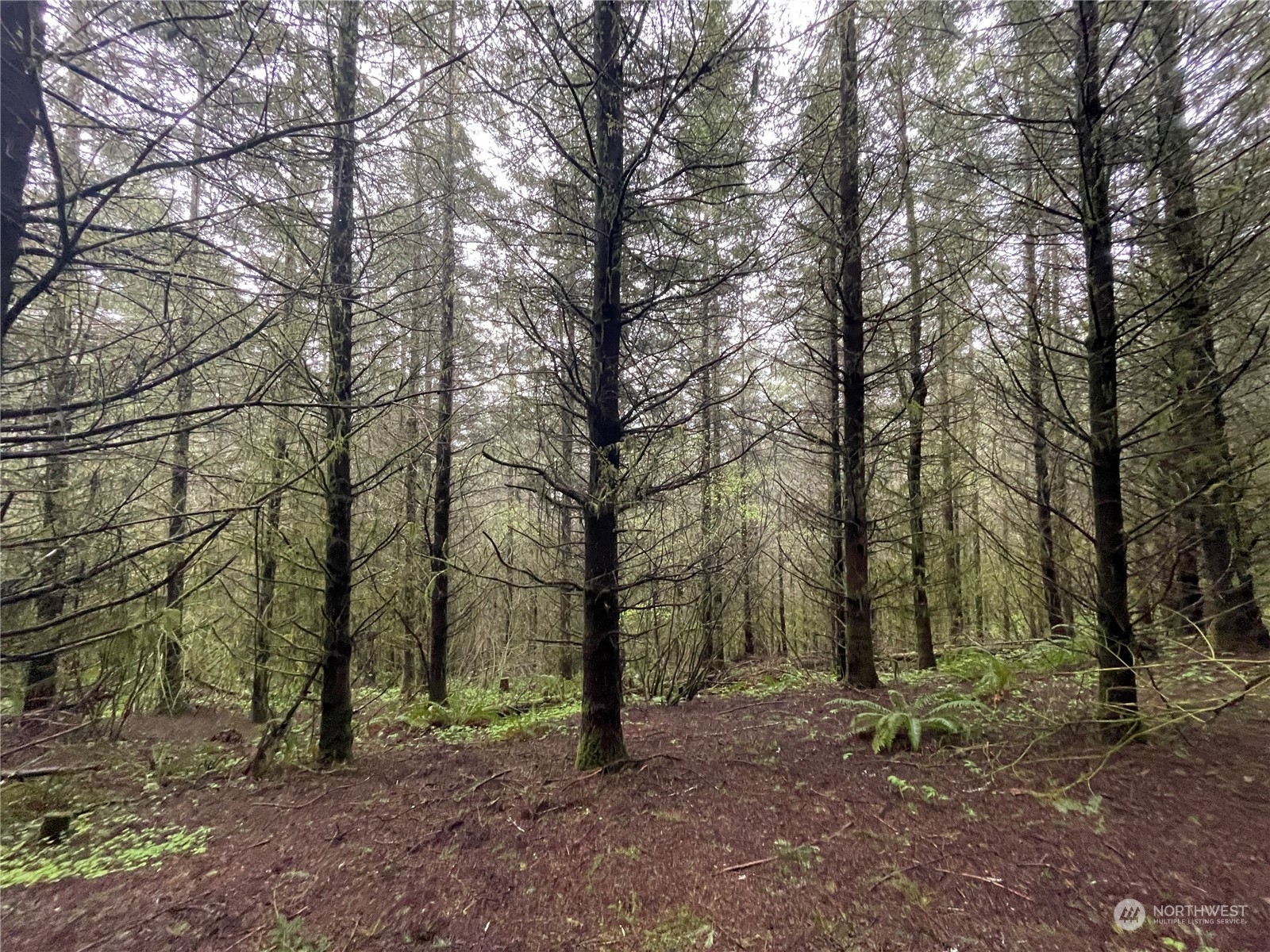 Property Photo:  0 Weyerhaeuser Road  WA 98625 