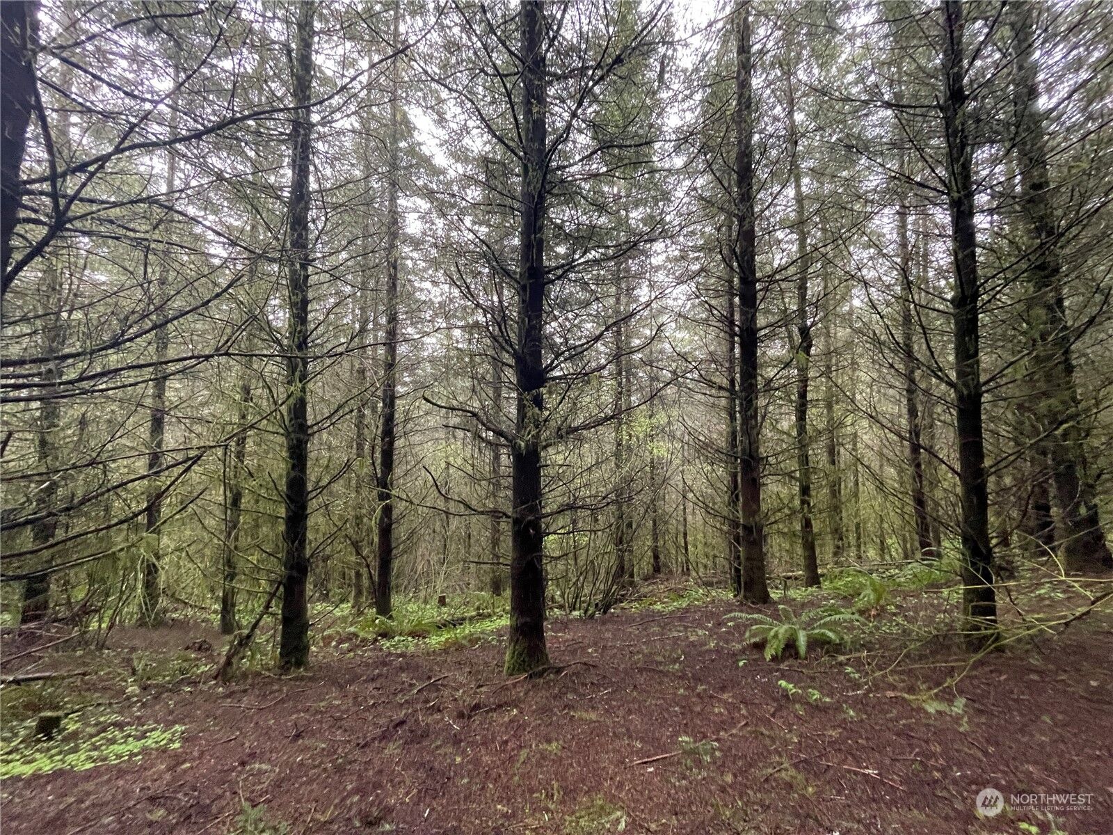 Property Photo: 0 Weyerhaeuser Road WA 98625