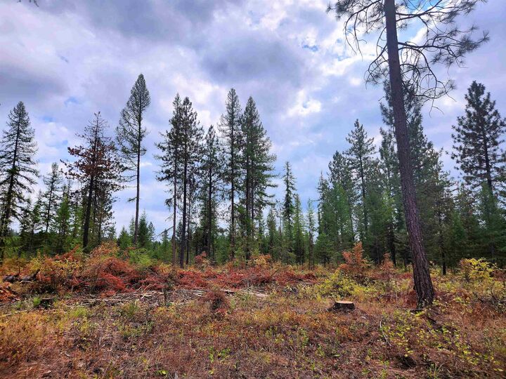 3669 C E Jump Off Joe Rd  Valley WA 99181 photo