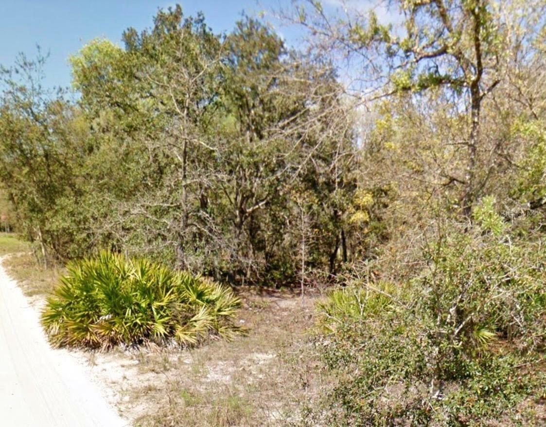 Property Photo:  6783 S Kirk Point 13O  FL 34461 