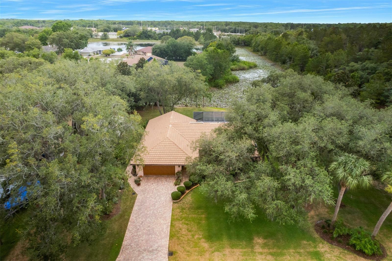 Property Photo:  373 Dan River Drive  FL 34606 