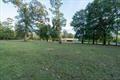 Property Photo:  137 Private Road 8116  TX 77632 