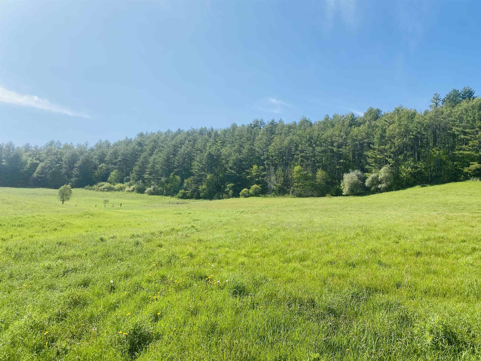 Property Photo:  0 US Route 2  VT 05824 