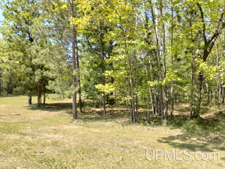 Property Photo:  10492 Breezy R.22  MI 49878 