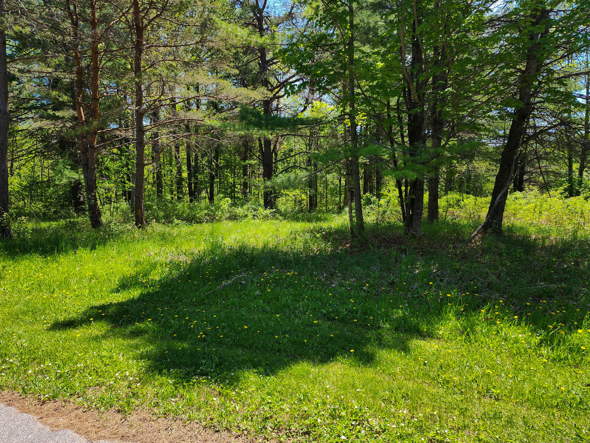 Property Photo:  1202 Rivers Ridge Court  MI 49721 