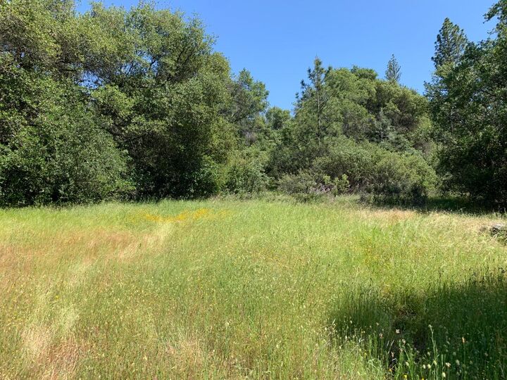 7003 Bertone Drive  Somerset CA 95684 photo