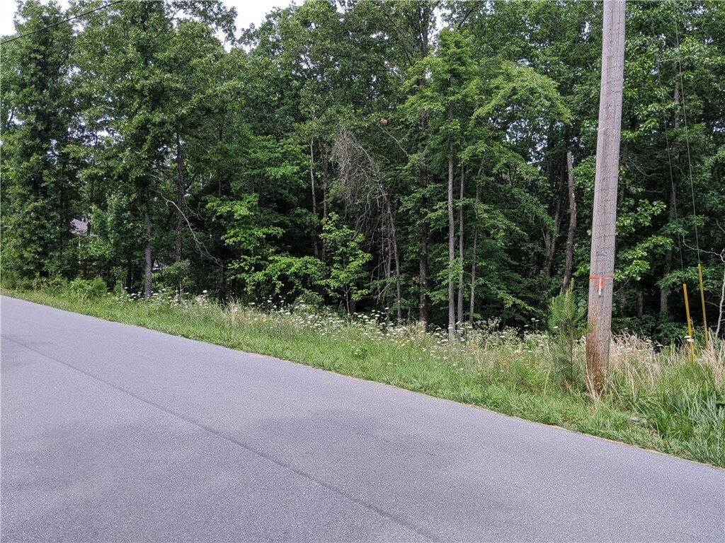 Property Photo:  Lot 30 Kincardine Drive  AR 72715 