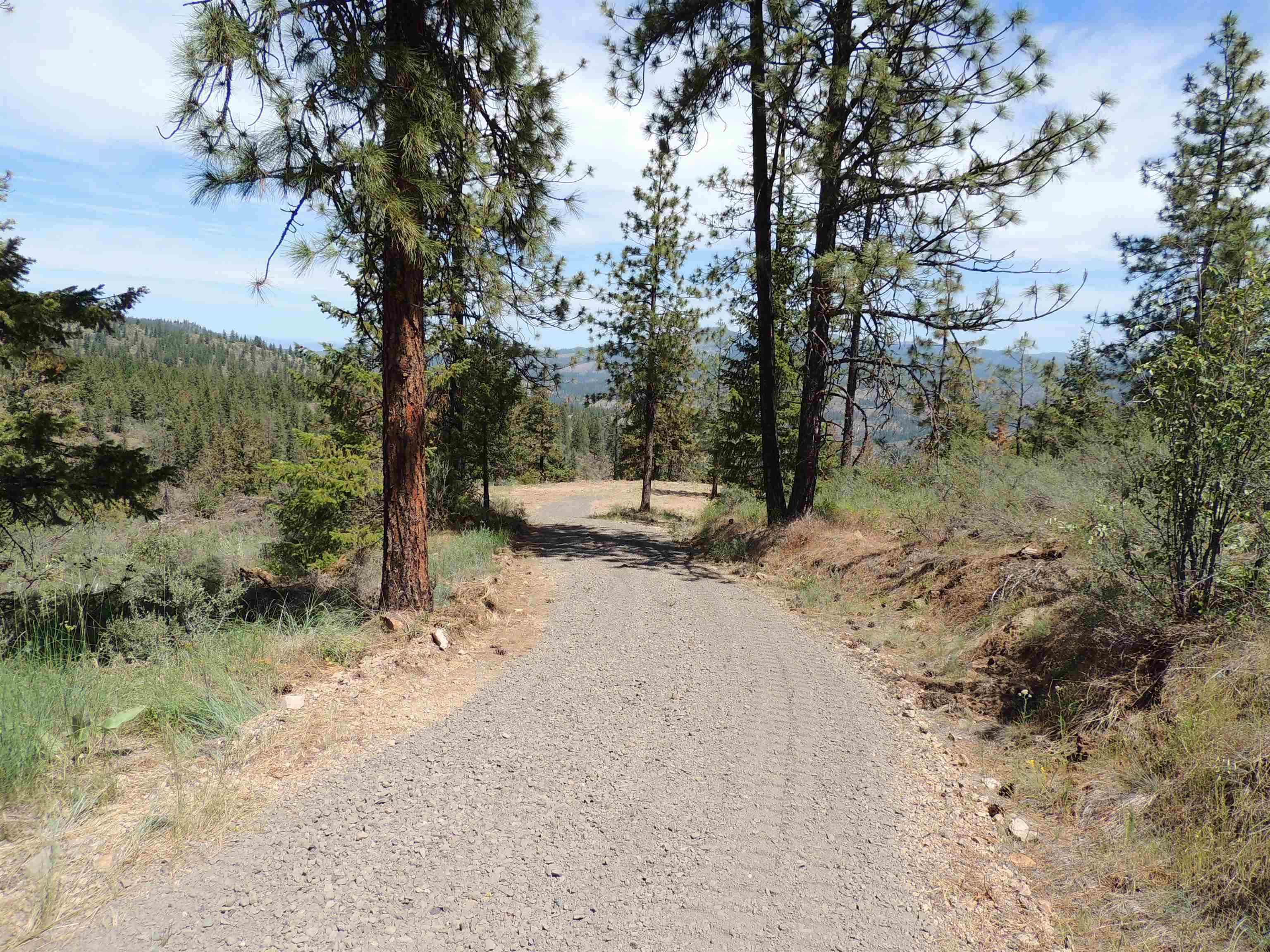 Property Photo: Timber Bay Ranch Lot 29 WA 99122