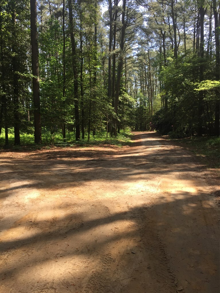 Property Photo: Lot 19 Folly Creek Club Ln VA 23301