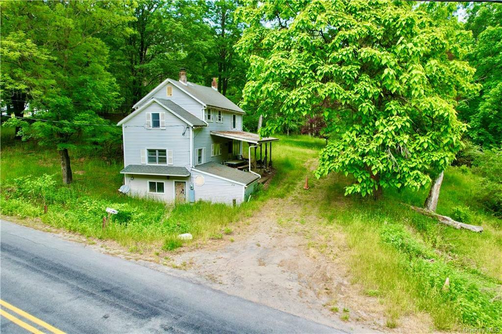 Property Photo:  256 Mount Vernon Road  NY 12790 