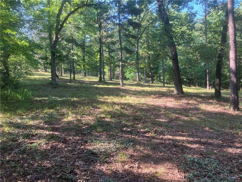 Property Photo: Lot 6 & 7 Kerry Lane AR 72756