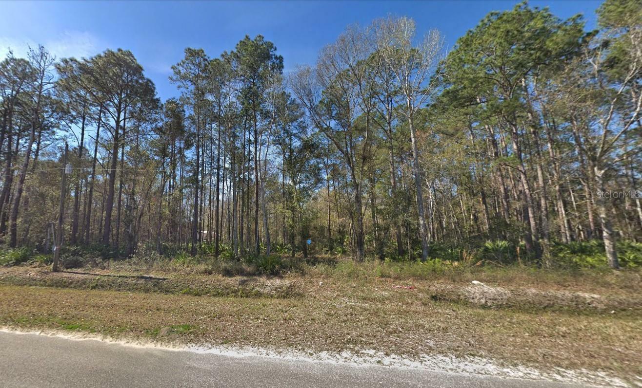 Property Photo:  9645 E Deep Creek Boulevard  FL 32145 