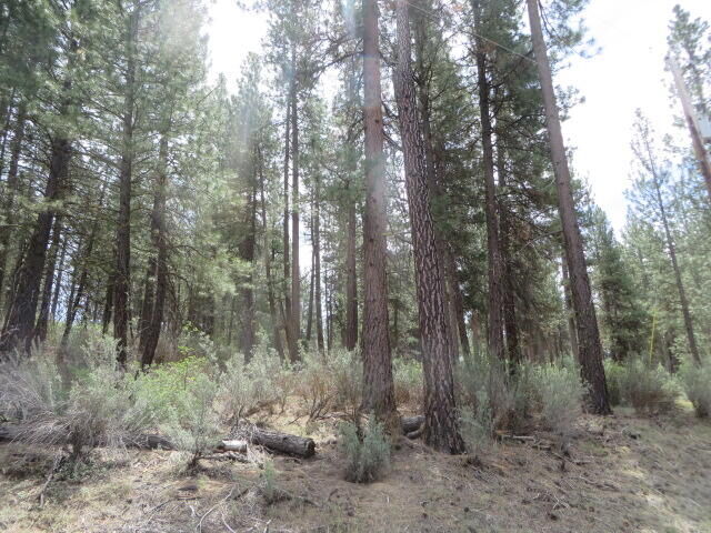 Property Photo:  0 Twin River Drive 2  OR 97624 