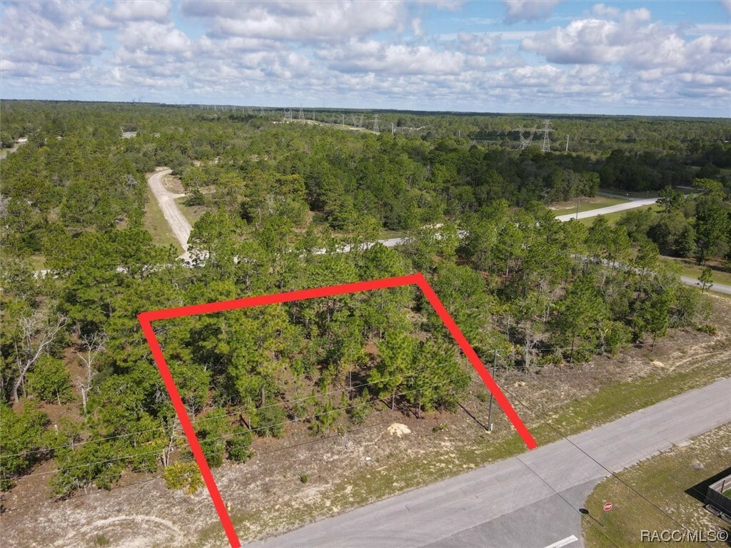 Property Photo:  2560 W Windchime Loop  FL 34434 