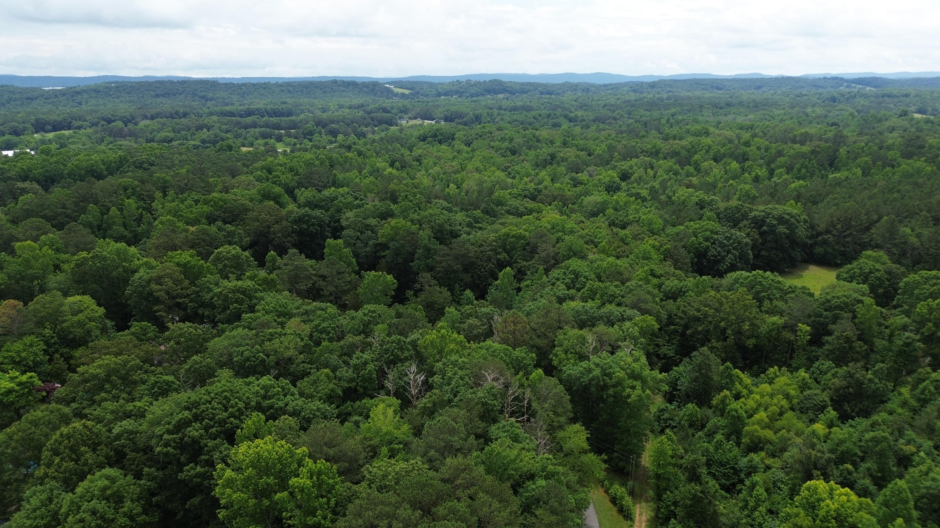 Property Photo: 0 Moon Beam Circle GA 30739