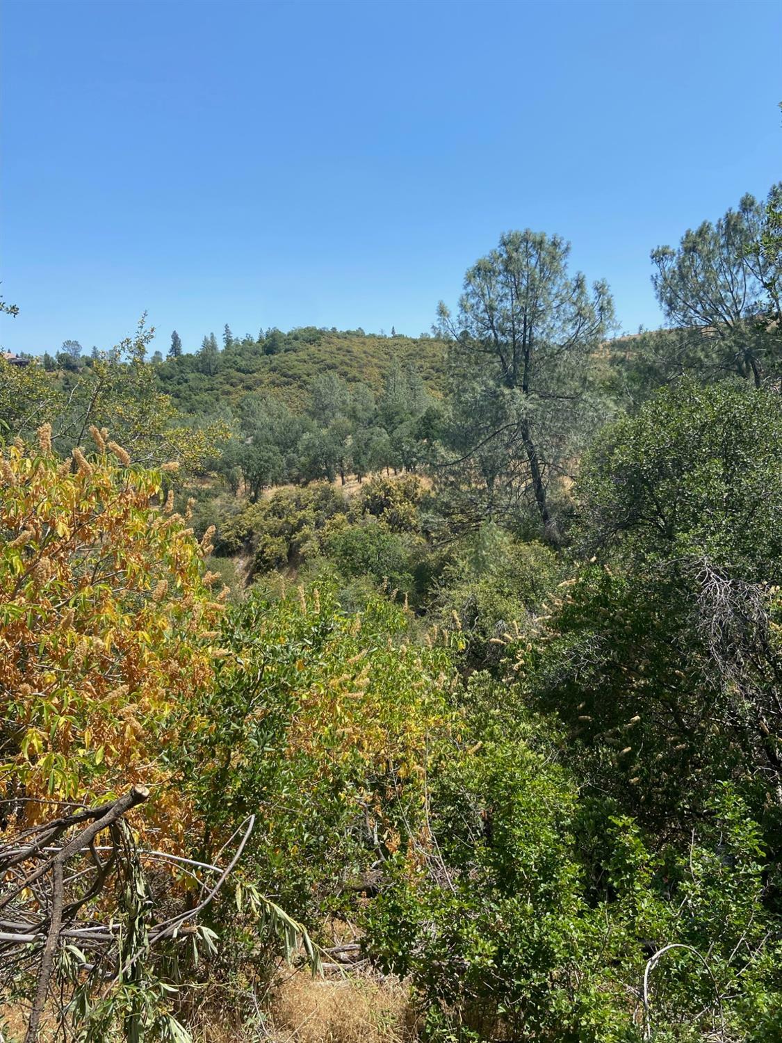 Property Photo:  2538 Butte Mountain Road  CA 95247 