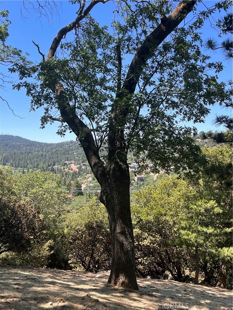 Property Photo:  0 Grass Valley Road  CA 92352 