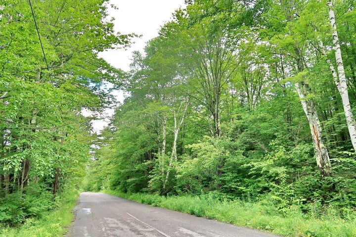 Property Photo: Tbd Easton Road NH 03586