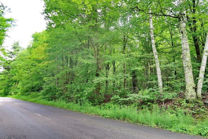 Property Photo:  Tbd Easton Road  NH 03586 
