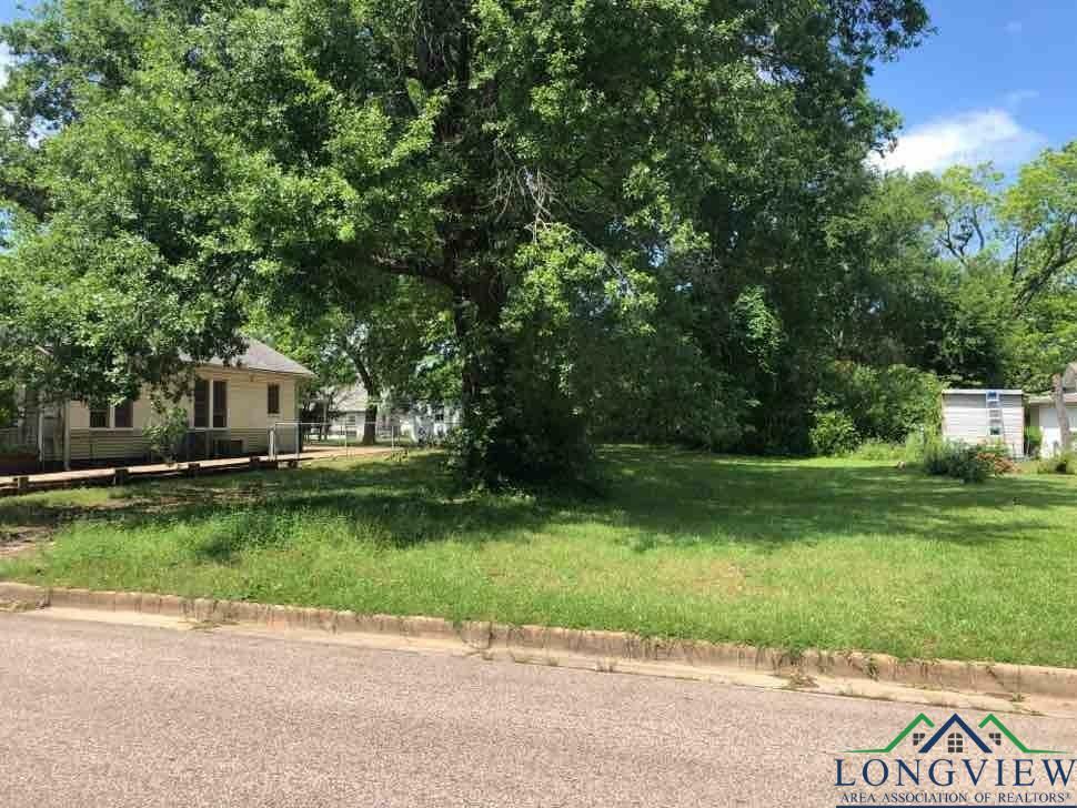 Property Photo:  233 Harrison Street  TX 75601 