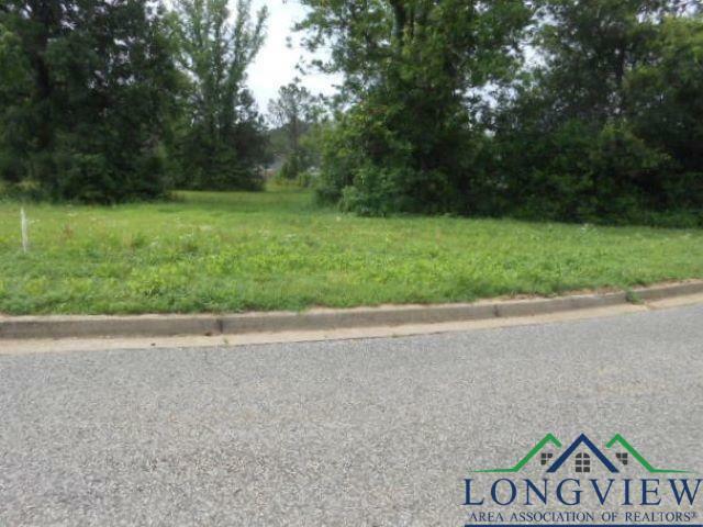 Property Photo: Tbd Lot 8 McMurray TX 75654