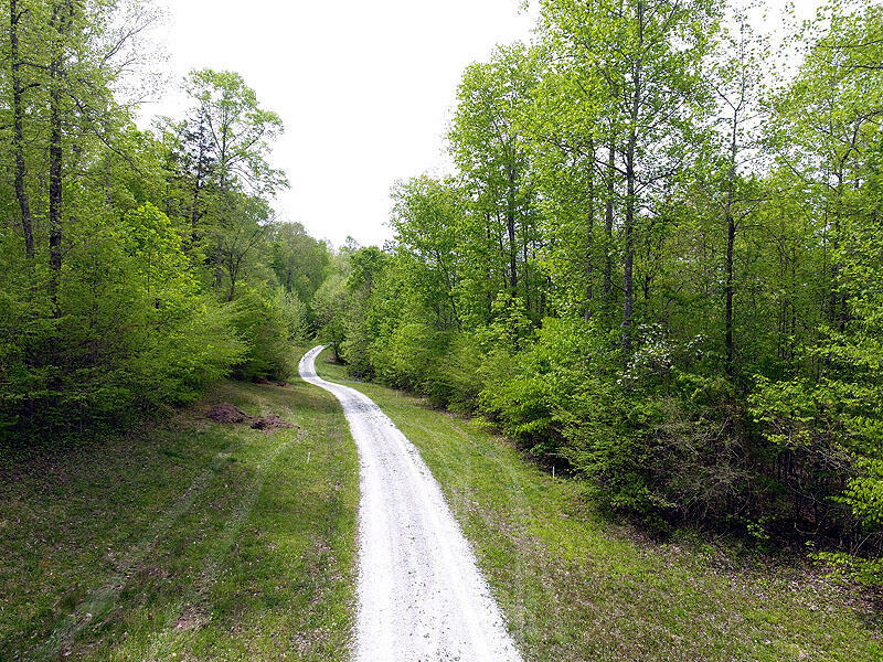 Property Photo:  Tract 6 Dogwood Drive  KY 42653 