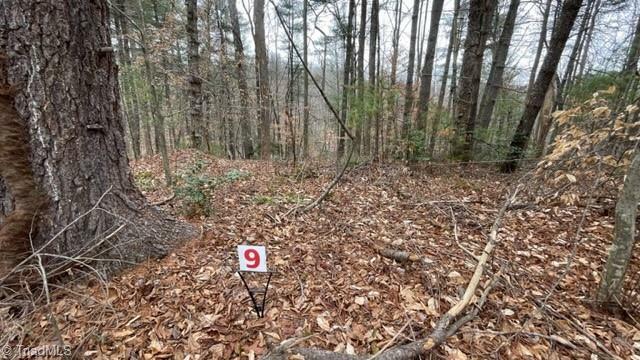 Property Photo:  Lot 9 Woods Haven Lane  VA 24171 
