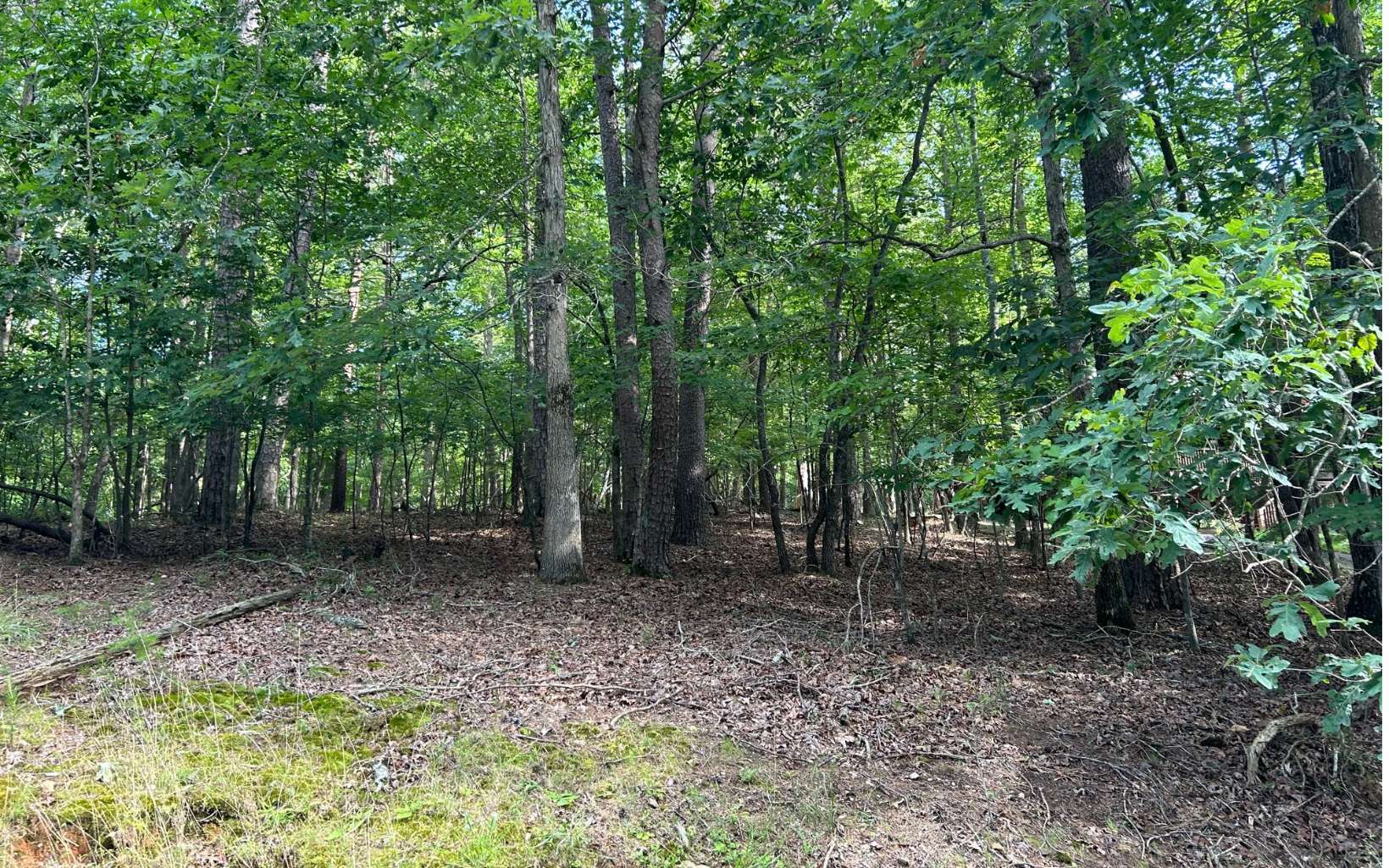 Property Photo: Lt 44 Eagle Mtn Ph1 Acadia GA 30540