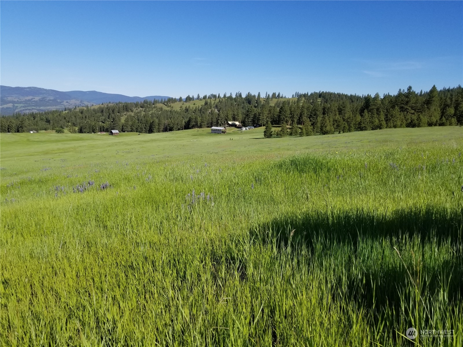 Property Photo:  49 Old Ranch House Road  WA 99166 