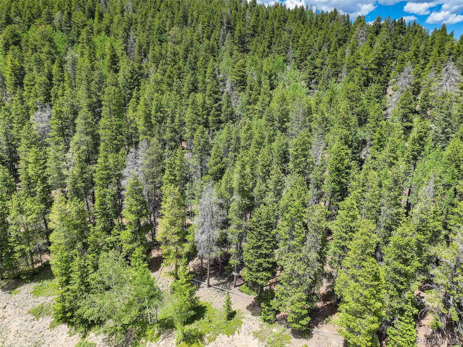 Property Photo: 103 (Lot 36) Lodgepole Drive CO 80439