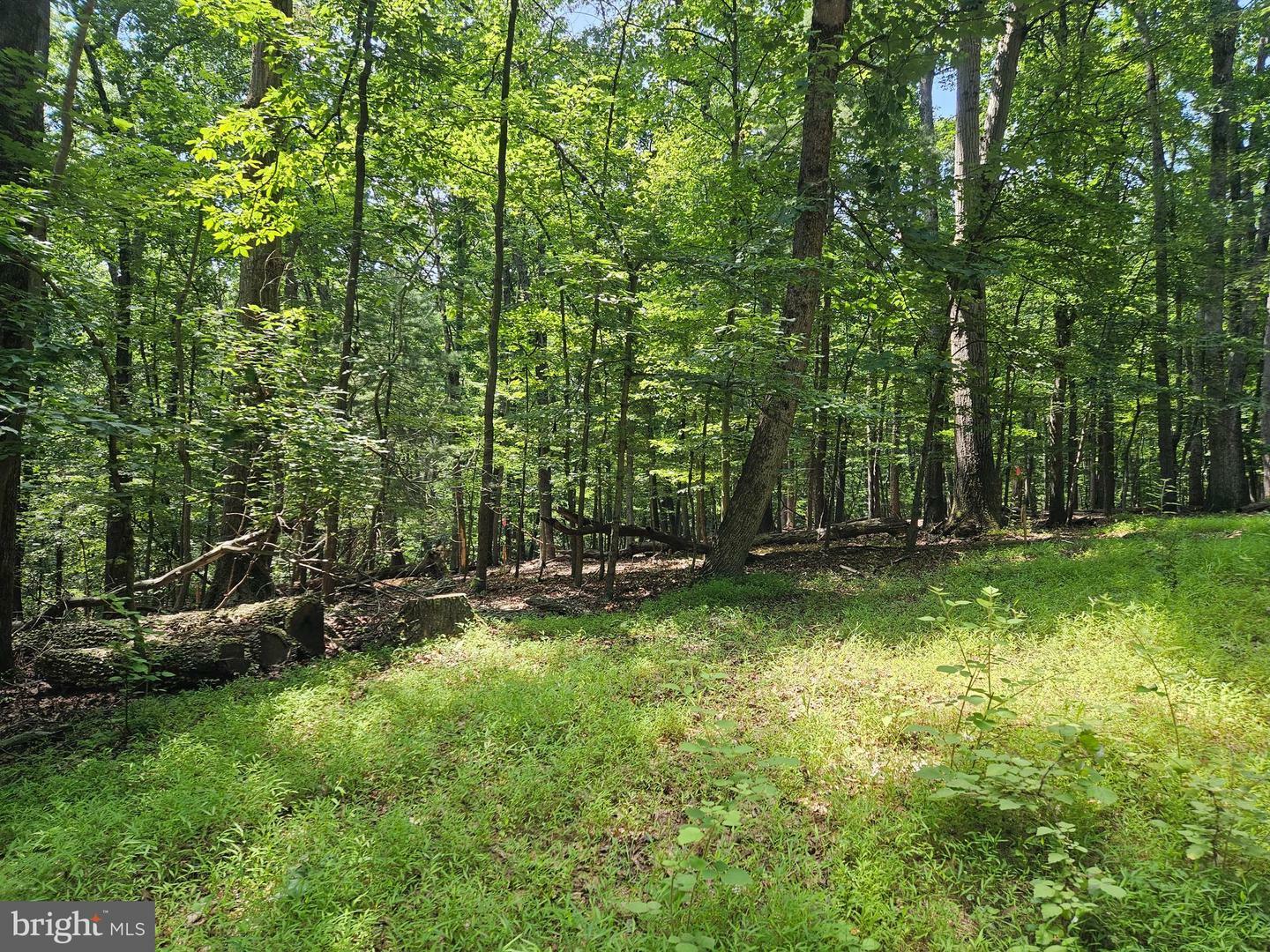 Property Photo:  Dogwood Ln  VA 20135 