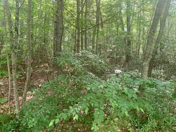 Property Photo:  Lot 5 Richardson Rd  MA 01431 