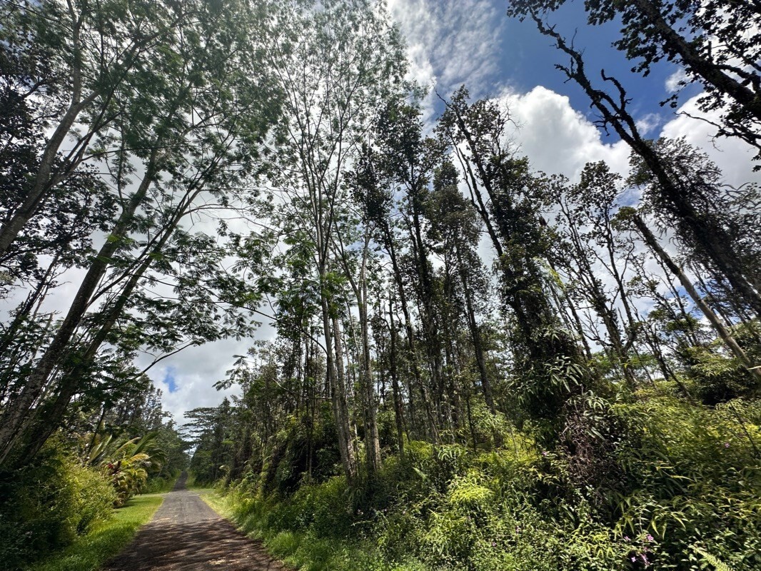 Property Photo:  Kona Rd  HI 96778 