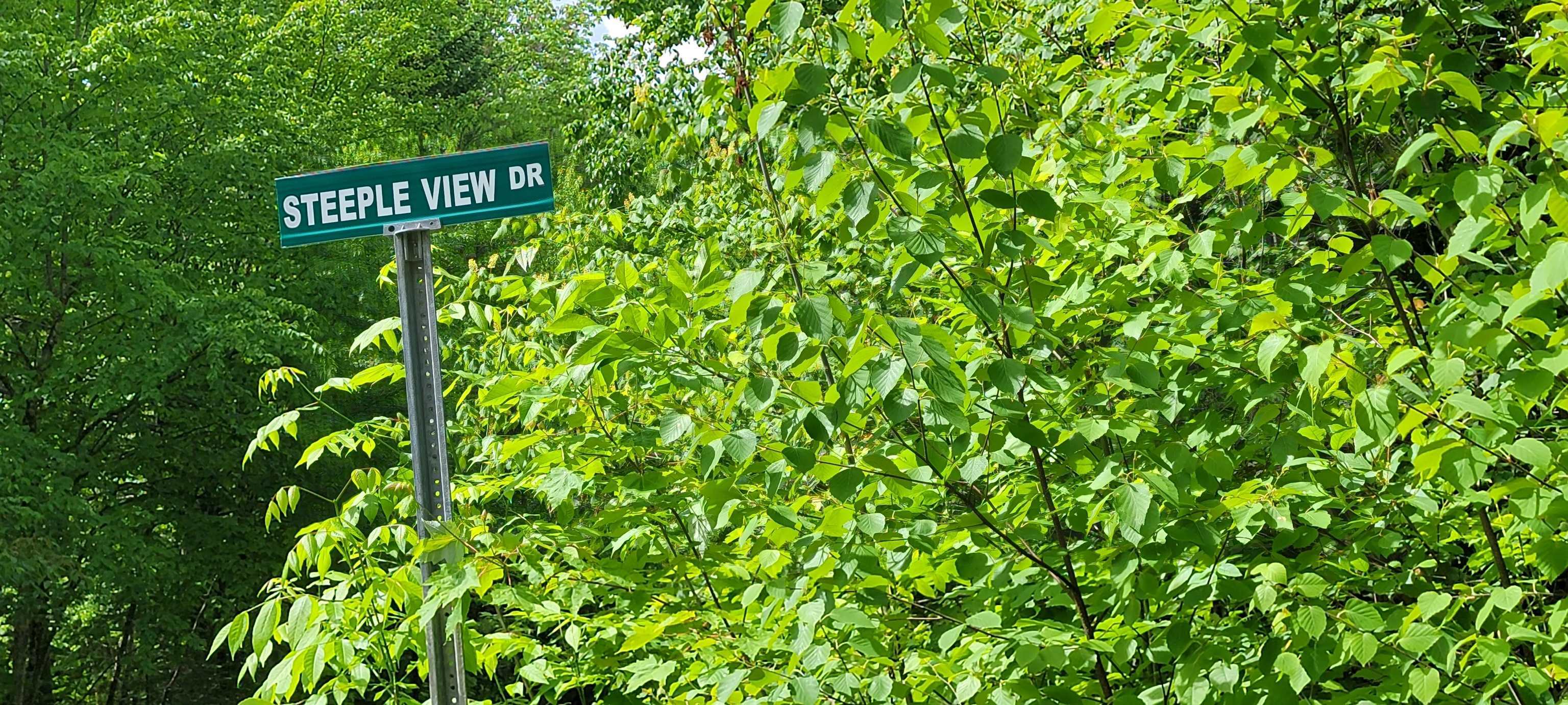 Property Photo:  Lot 1-107 Steeple View Drive  NH 03574 