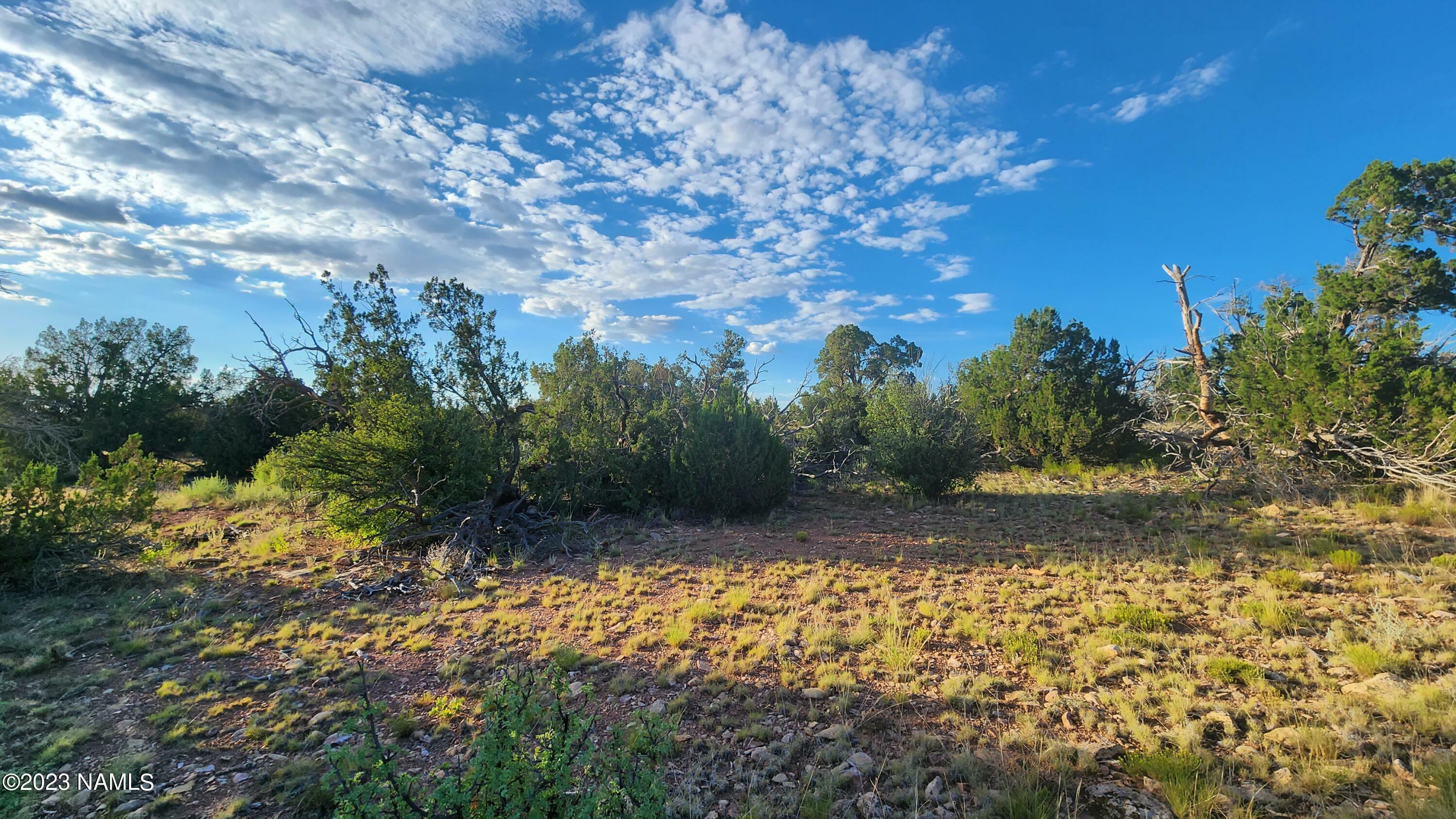 Property Photo:  5854 S Estrella Road  AZ 86046 