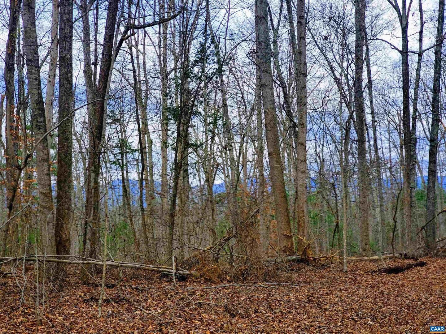 Property Photo: 1601 Buck Mountain Rd VA 22936