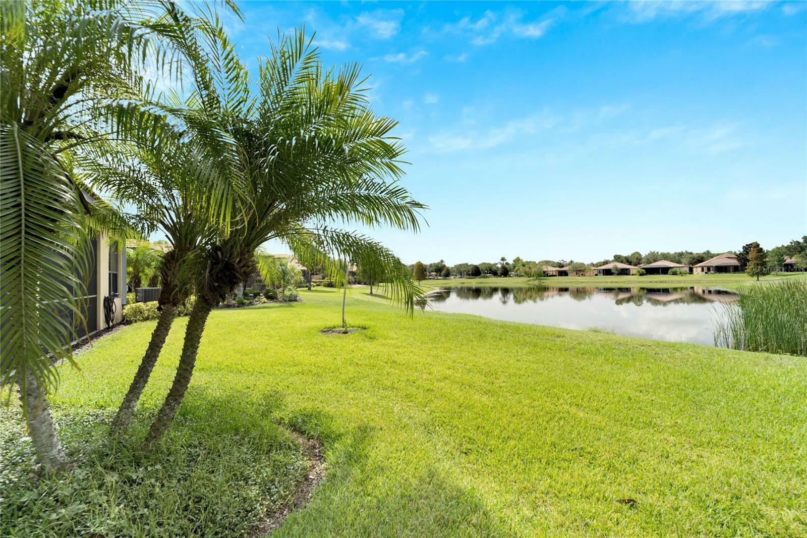 Property Photo:  224 Silver Falls Drive  FL 33572 