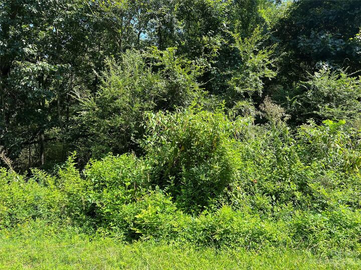 Property Photo:  00 Dewey Street 37/38  NC 28009 
