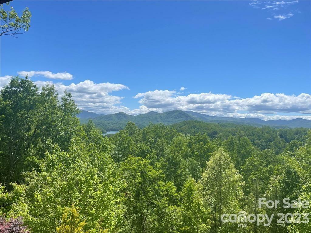 Property Photo:  00 Greasy Branch Road  NC 28713 