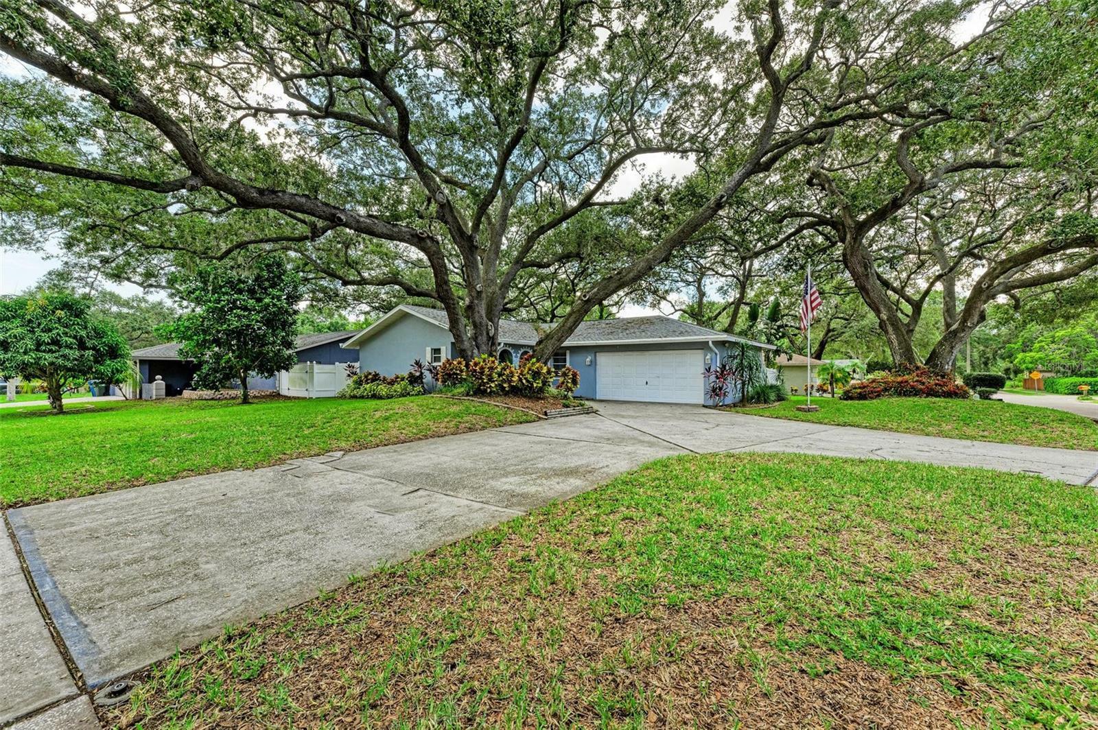 Property Photo:  1012 Wood Street  FL 33770 