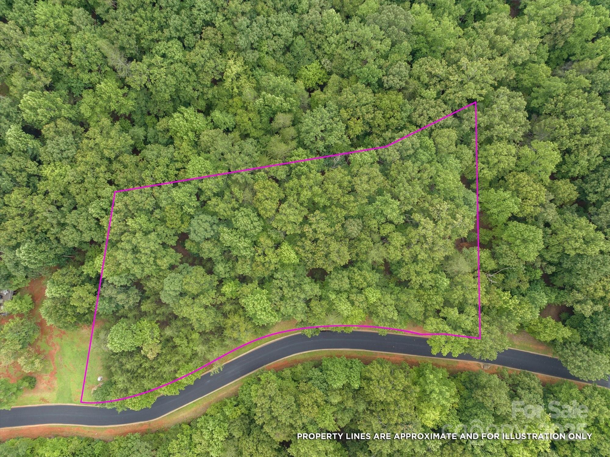 Property Photo: 00 Twin Maple Way 5 NC 28756