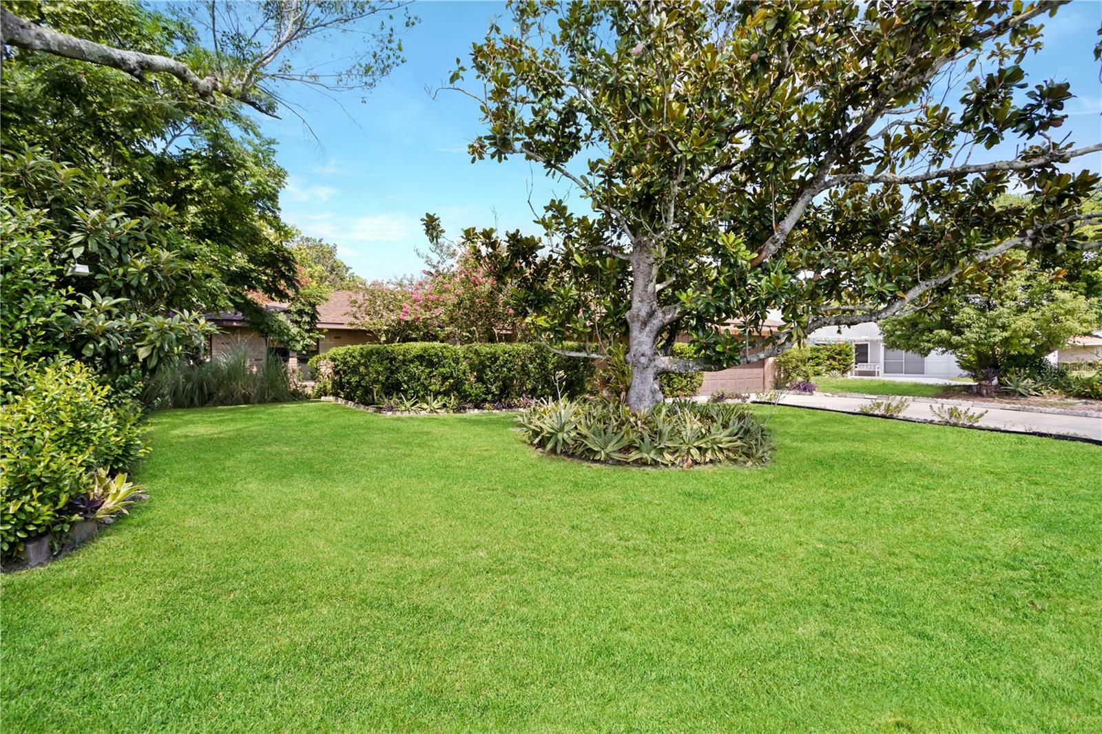 Property Photo: 1822 Rada Terrace FL 32725
