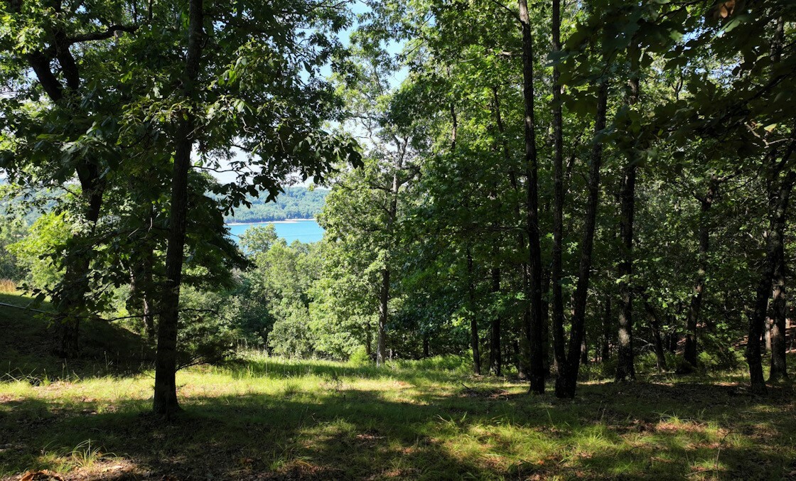 Property Photo:  Clearwater Lane  AR 72631 