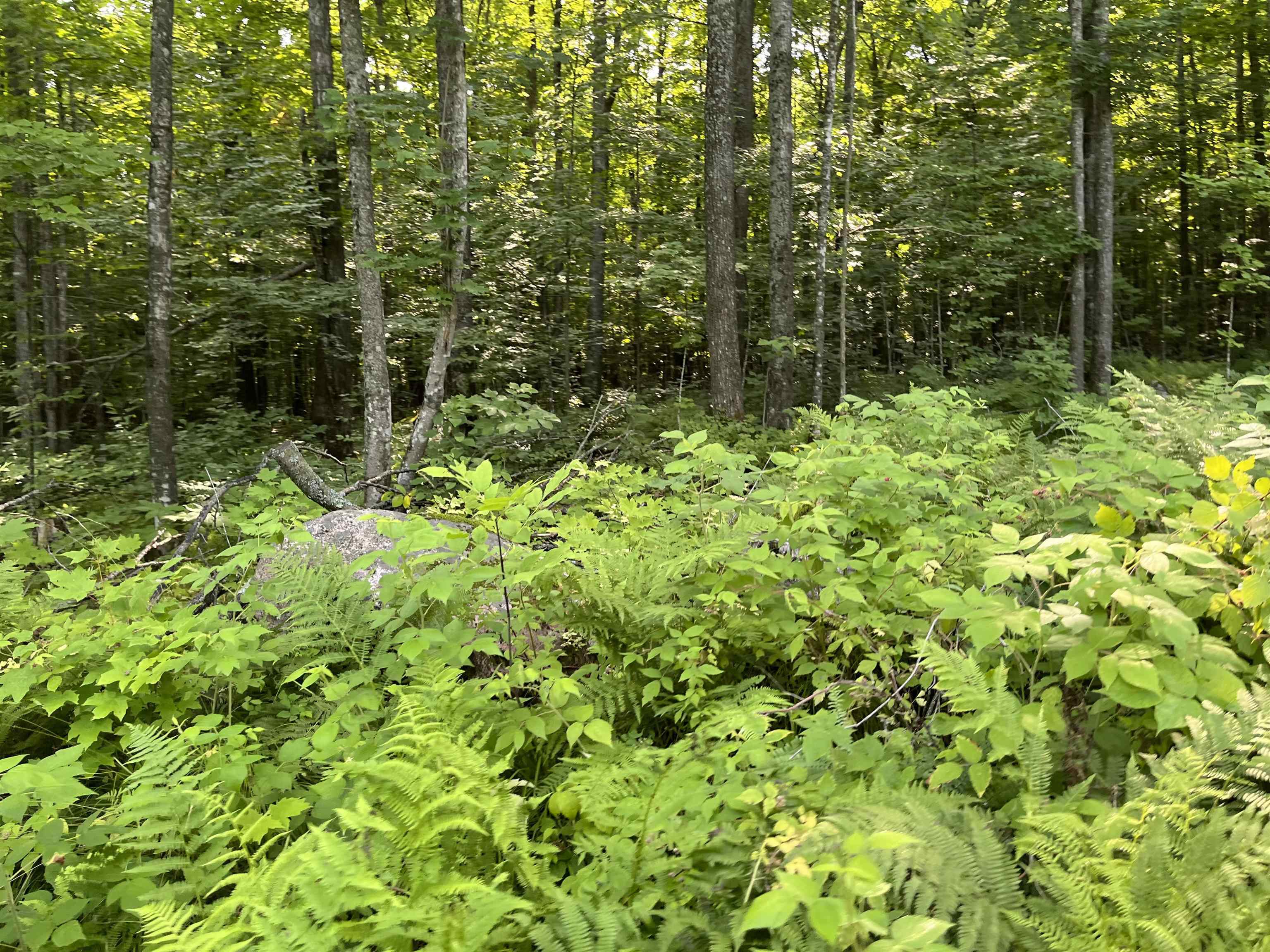 Property Photo:  On Range Line Lake  WI 54566 