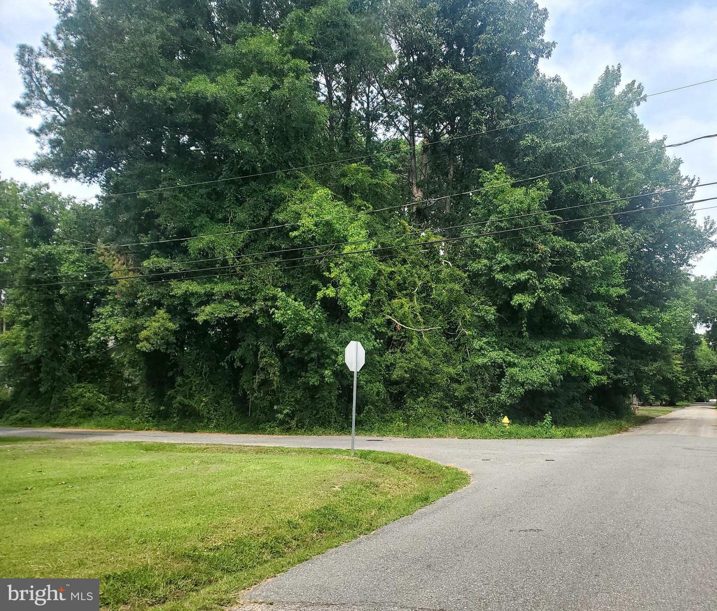 Property Photo:  Lots 2-4 9th Street  VA 22443 