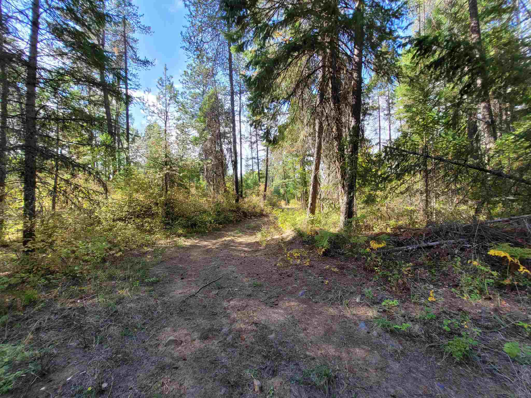 Property Photo: 4351 U Hesseltine Rd &Amp 4351 T WA 99181